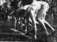 /album/histoire/nac006-2-jpg/